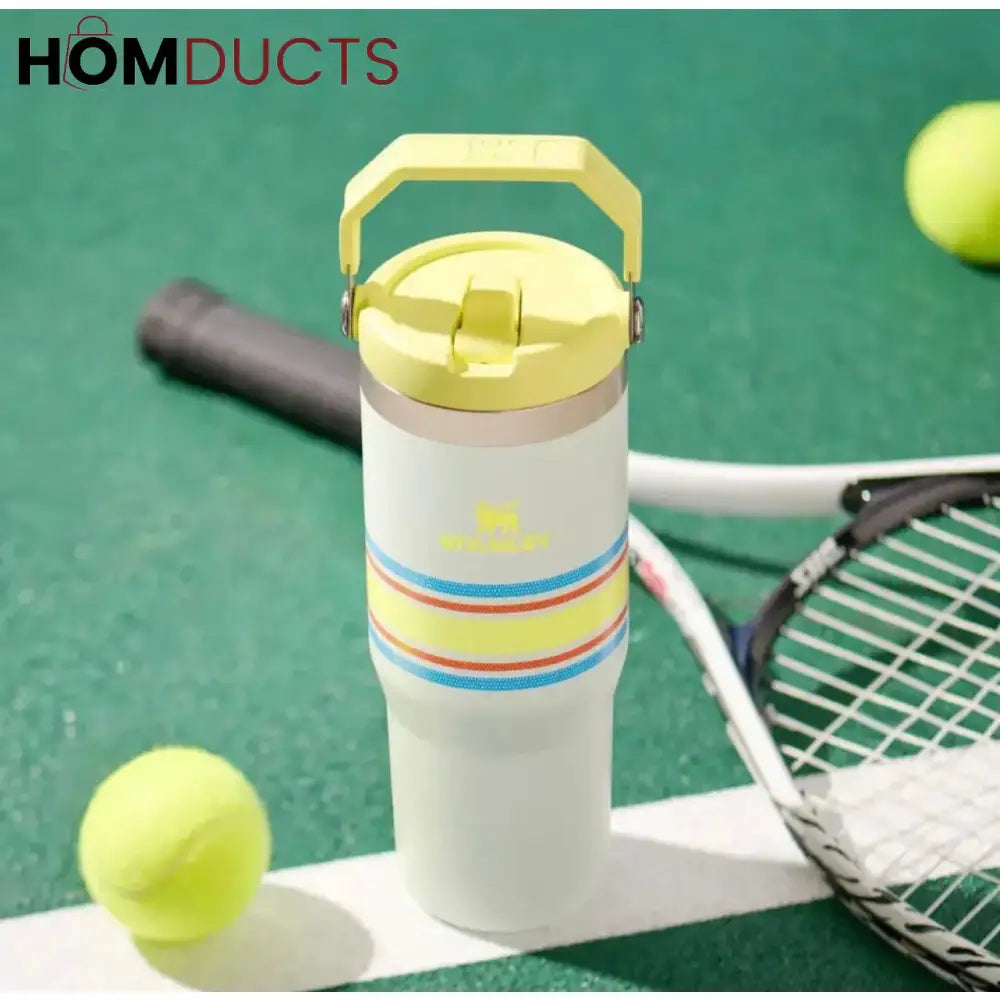 Premium Stanley Tumbler - Stylish & Affordable Stainless Steel Water Bottle Style 4