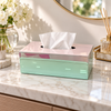 Pink & Mint Mirrored Tissue Box