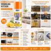 Kitchen Dirt Cleaner Spray (500ml)