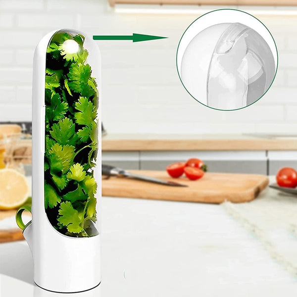 Countertop Herb Saver Container with Clear Cover