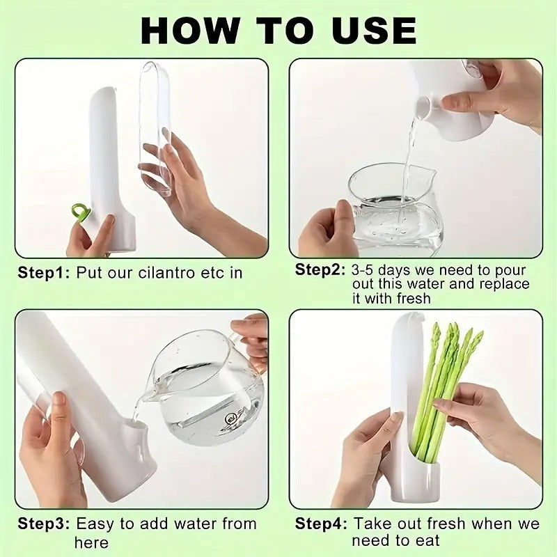 Countertop Herb Saver Container with Clear Cover