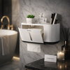 Ecoco Premium Wall-Mounted Tissue Dispenser & Storage Organizer Shelf