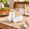 Brilliant Ceramic 2-Piece Salt & Pepper Shaker Set – White