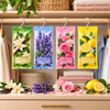 Long-lasting hanging closet deodorizer sachets
