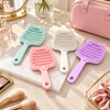 Compact Mini Travel Hair Brush
