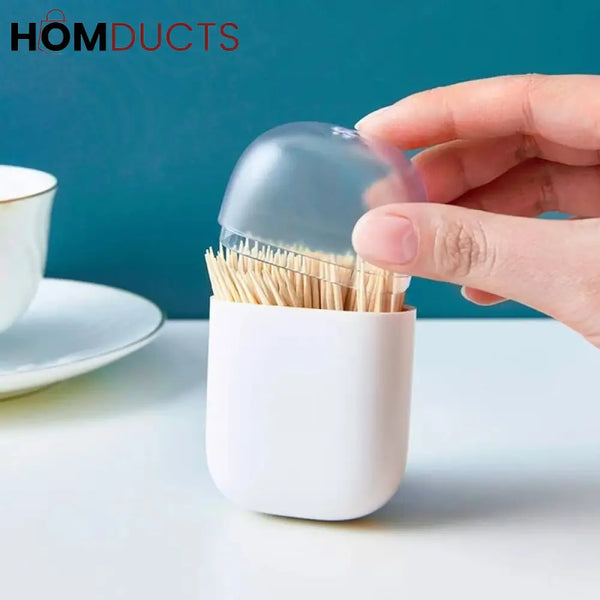 Creative Magnetic Toothpick Holder