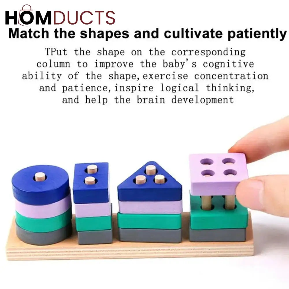 Early Learning Shapes Educational Puzzle