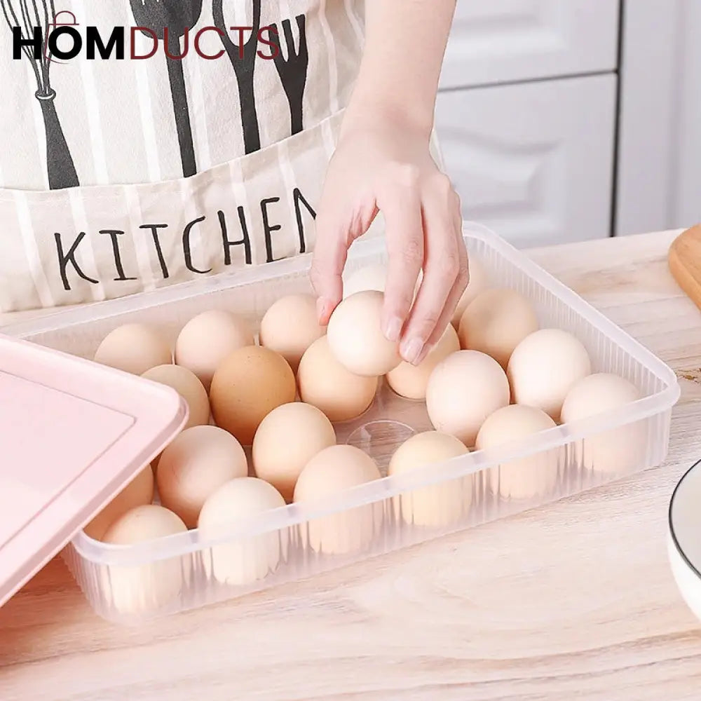 Egg Storage Box With Lid