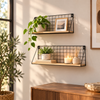 2-Piece Wall-Mounted Display Rack Set