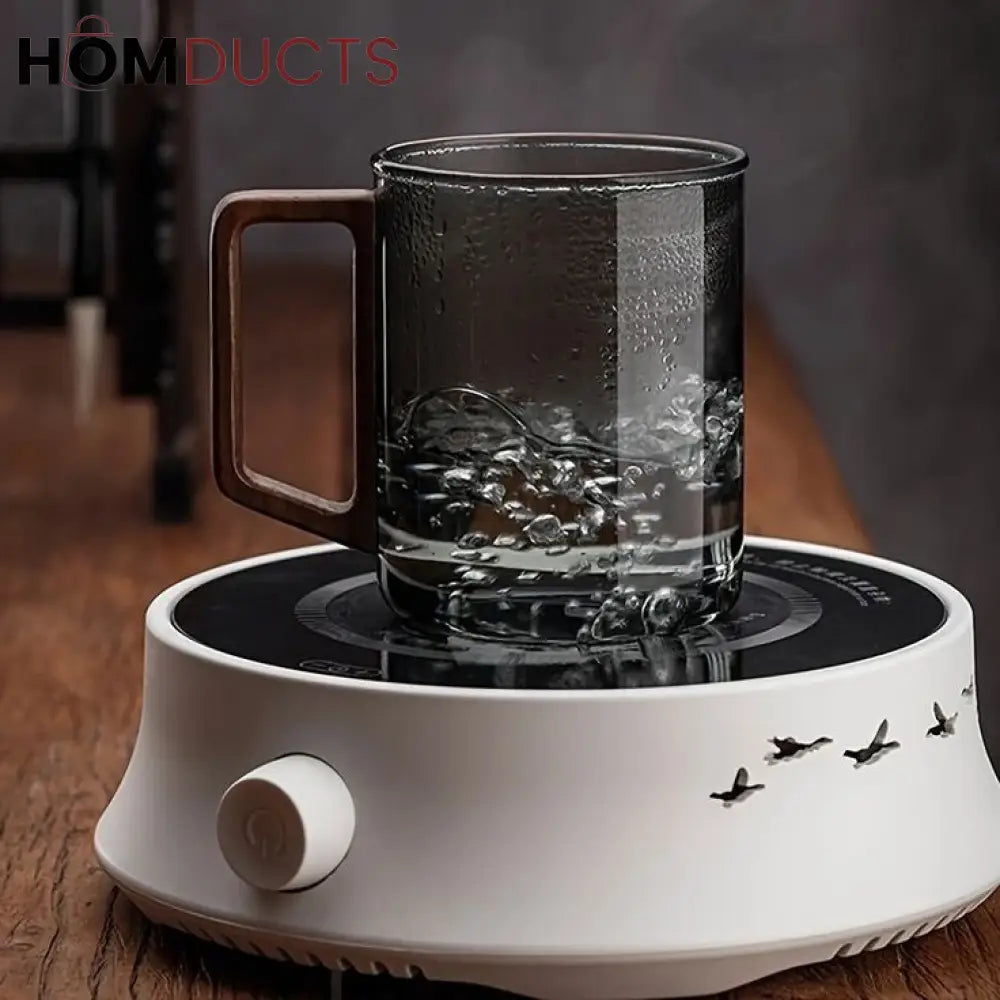 Heat Resistant Borosilicate Glass Tea Cup With Filter