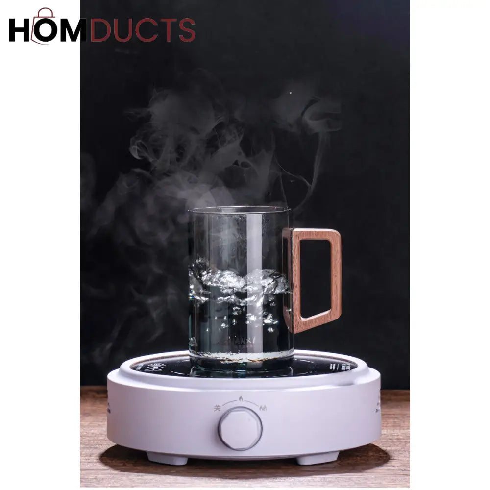 Heat Resistant Borosilicate Glass Tea Cup With Filter