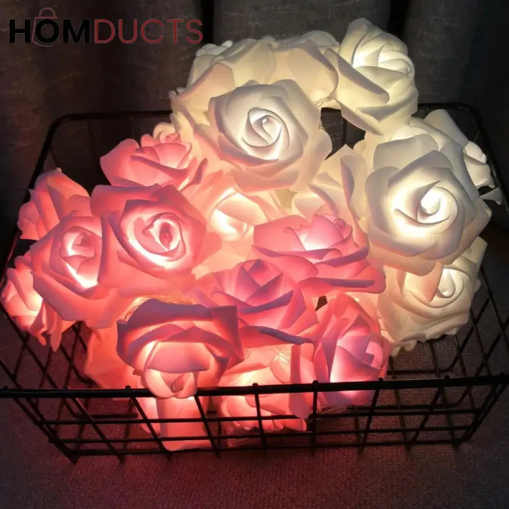 Led Rose String Light