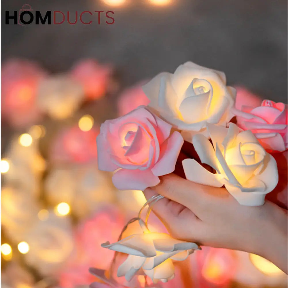 Led Rose String Light