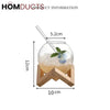 Wooden Stand Round Glass Tumbler - Elegant Cocktail Glassware
